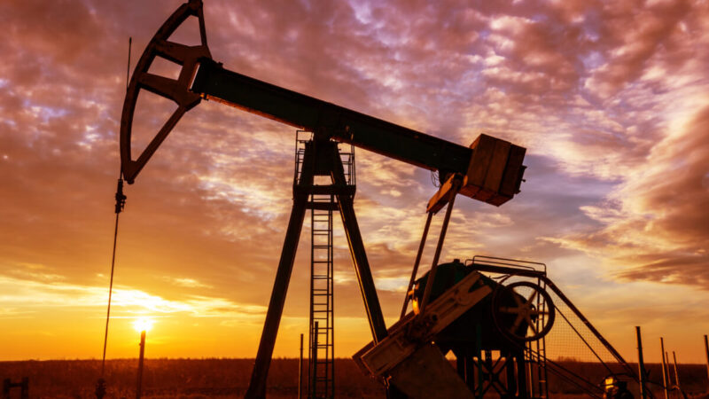 partner in oil